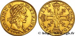LOUIS XIII  Demi-louis d or à la mèche longue 1642 Paris