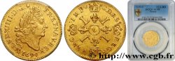LOUIS XIV LE GRAND OU LE ROI SOLEIL Demi-louis d or aux quatre L 1694 Rennes SUP55