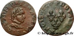 LOUIS XIII LE JUSTE Double tournois, type 4 de Villeneuve 1626 Saint-André de Villeneuve-lès-Avignon