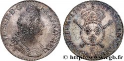 LOUIS XIV  THE SUN KING  Écu aux insignes 1702 Tours AU/AU