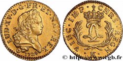LOUIS XV DIT LE BIEN AIMÉ Louis d or aux deux L entrelacées et aux palmes longues 1724 Bordeaux SUP