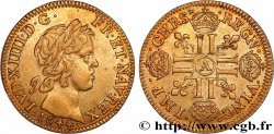 LOUIS XIV LE GRAND OU LE ROI SOLEIL Louis d&nbsp;or aux huit L, portrait à la mèche courte 1644 Paris, Monnaie du Louvre TTB+/SUP