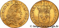 LOUIS XIV LE GRAND OU LE ROI SOLEIL Louis d or à l écu 1691 Amiens SUP