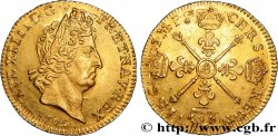 LOUIS XIV  THE SUN KING  Louis aux insignes 1705 Paris