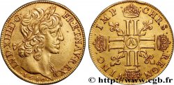 LOUIS XIII  Double louis d or aux huit L (effigie de Jean Warin) 1640 Paris, Monnaie du Louvre