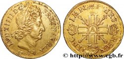 LOUIS XIV  THE SUN KING  Double louis d or aux huit L et aux insignes 1701 Paris